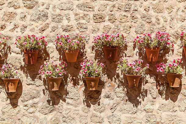花花盆十八岁美丽的花盆植物石头墙在户外西班牙语风格