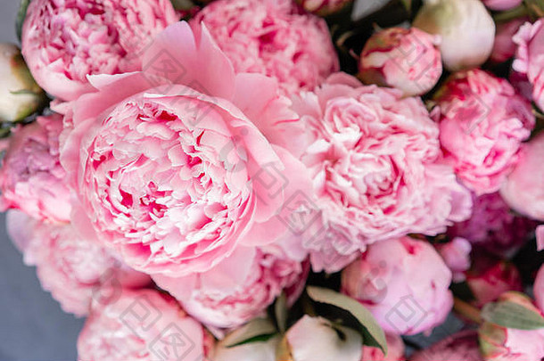 花地毯壁纸背景粉红色的牡丹早....光房间美丽的牡丹花目录在线商店花商店