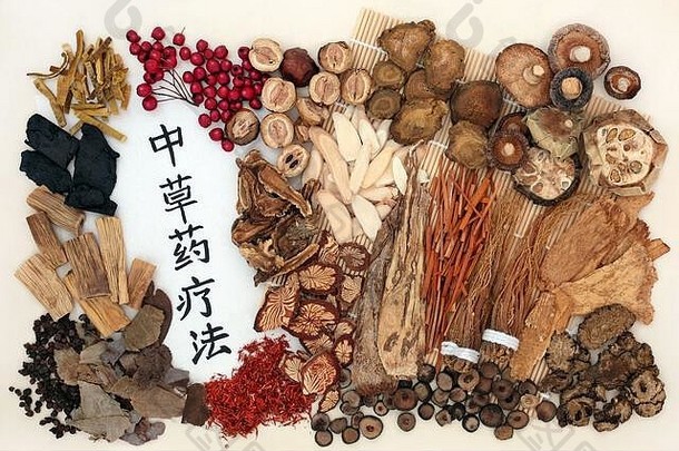 中国人草本植物Herbal医学书法脚本大米纸翻译读取传统的中国人Herbal治疗