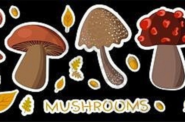 可爱的蘑菇集合黑色的背景蘑菇贴纸孩子们创造力标签产品标志农民