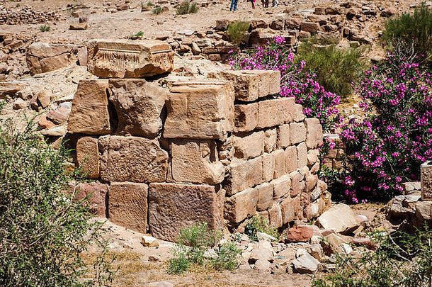 古老的废墟佩特拉玫瑰城市约旦城市佩特拉失去了年奇迹词