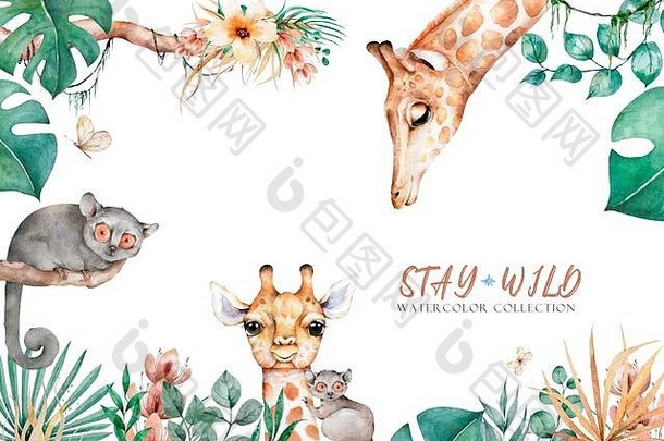 手画水彩插图可爱的长颈鹿热带叶子水平横幅背景丛林框架
