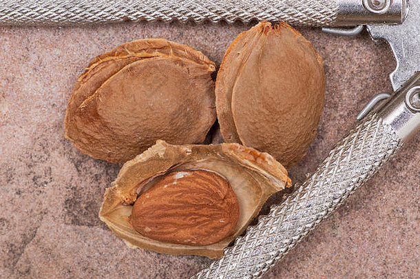 干杏内核种子杏被称为石头不锈钢钢胡桃夹子自然石头背景苦杏仁甙维生素