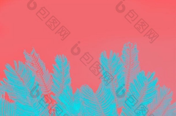 霓虹灯海蓝宝石棕榈叶子红色的珊瑚背景现代壁纸