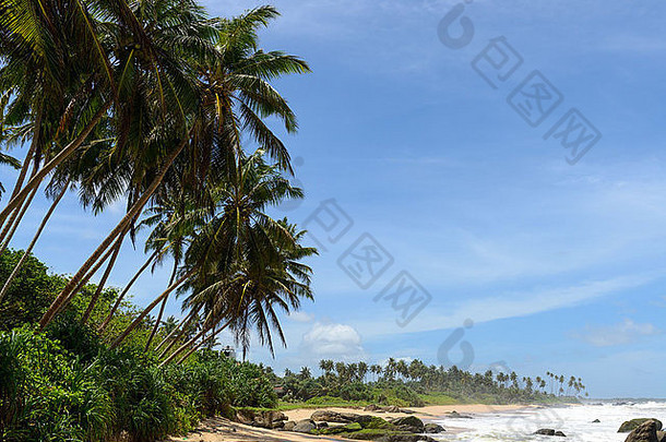 斯里兰卡斯里兰卡西海岸海岸线海滩