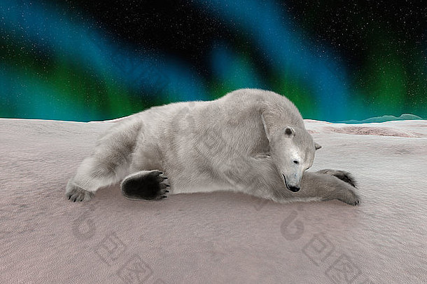 数字渲染极地熊休息孤立的北部灯背景