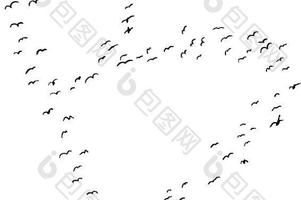 插图群鸟形状信