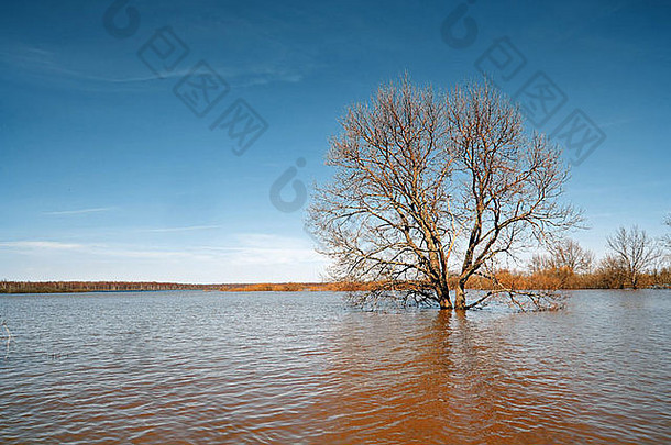 大橡木春天洪水