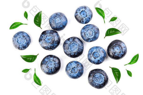 新鲜的成熟的蓝莓叶孤立的白色背景前视图平躺模式
