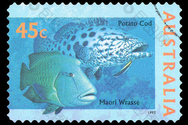 澳大利亚约邮票印刷澳大利亚显示毛利濑鱼世界系列约