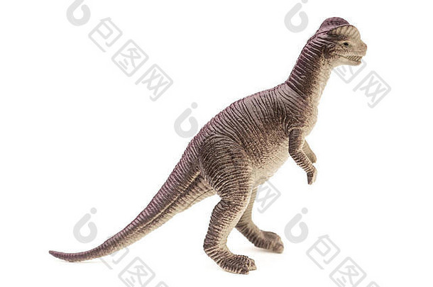 一边视图棕色（的）dilophosaurus<strong>玩具</strong>白色背景