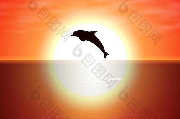 海豚跳水日落太阳