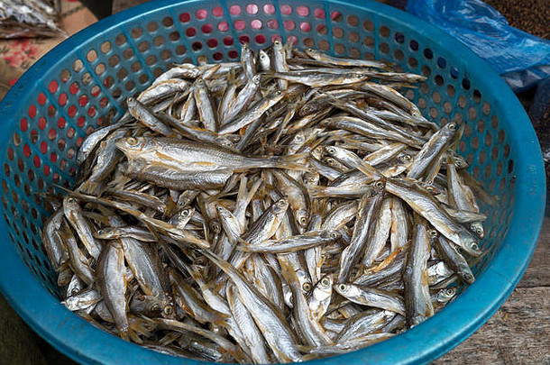 干鱼拍摄出售街市场越南