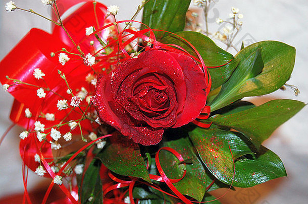 红色的玫瑰叶子装饰
