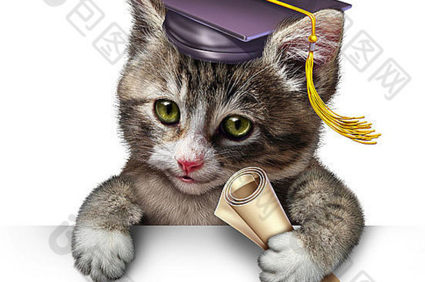 宠物学校概念可爱的快乐小猫穿毕业帽持有文凭象征动物培训兽医教育白色背景空白空间