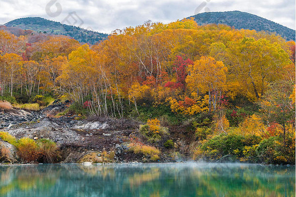 秋天森林温泉湖地狱在hakkoda青森县东北日本