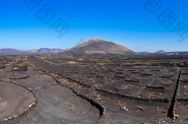 西班牙兰斯洛特21全景没完没了的熔岩葡萄园杰里亚蒂曼法亚火山