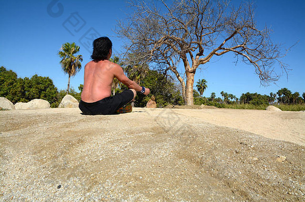 亚洲男人。祝福树生活瑜伽meditatation风度wirikuta植物花园墨西哥阳光明媚的蓝色的天空棕榈树