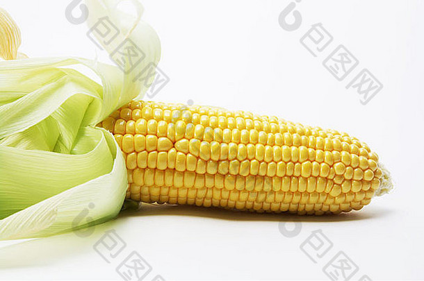 玉米结实的矮