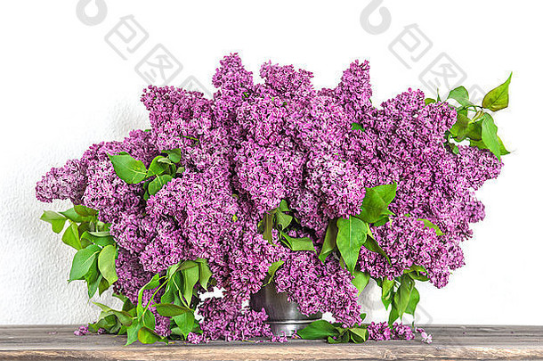 花束淡紫色花朵白色背景春天花