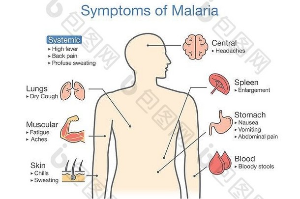 图病人疟疾症状