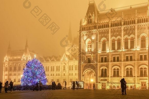 布达佩斯装饰圣诞节树匈牙利议会晚上视图树灯照亮哥特复兴奥尔扎加扎兹建筑