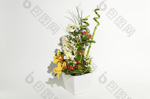 色彩斑斓的花花束兰花菊花红色的金丝桃属花瓶孤立的白色背景