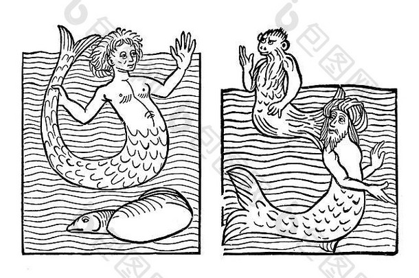 海怪物胡马尔样生物美人鱼海猴子海土耳其人中世纪的雕刻一年