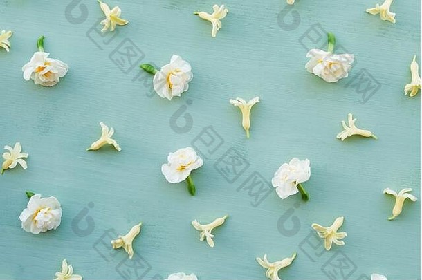 春天花模式使新鲜的黄色的风信子花瓣白色水仙花花