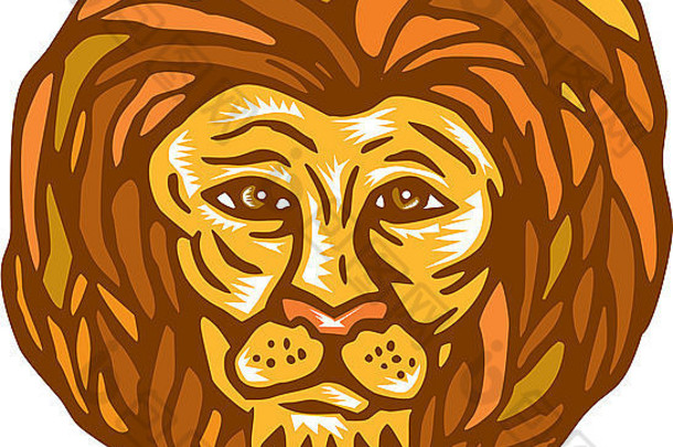 插图狮子大猫头面对前面孤立的白色背景复古的木刻浮雕风格
