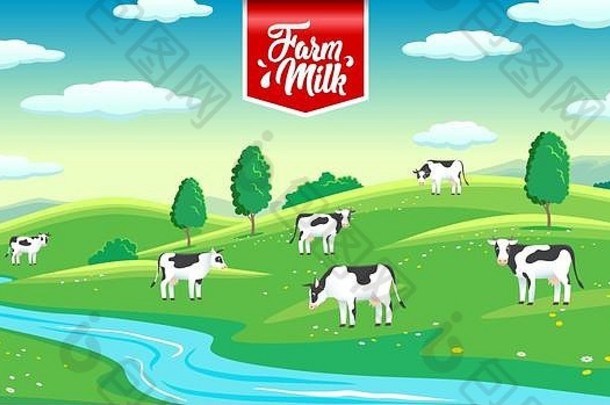 农村景观牛草地农场牛奶