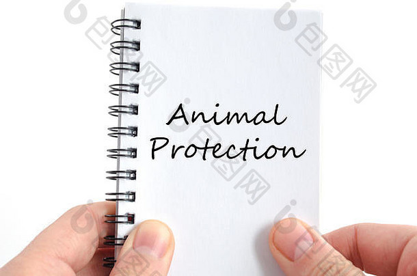 动物保护文本概念孤立的白色背景