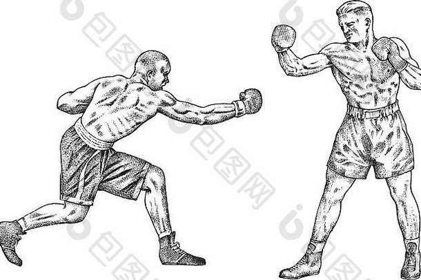 拳击手培训体育运动强大的但战斗古董单色插图手画