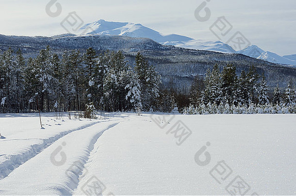 雪场车跟踪森林路阳光山背景