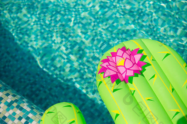色彩斑斓的膨胀的仙人掌浮动让人耳目一新蓝色的游泳池