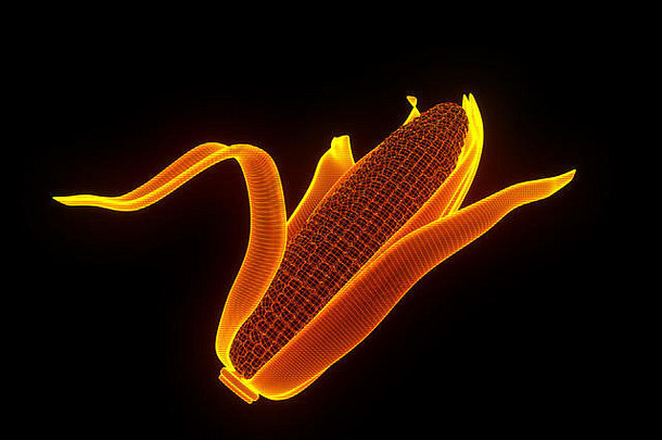 玉米全息图线框风格不错的呈现