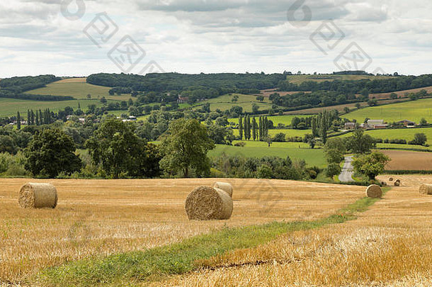 图像显示收获季节英格兰拍摄村斯托克斯顿莱斯特郡英格兰