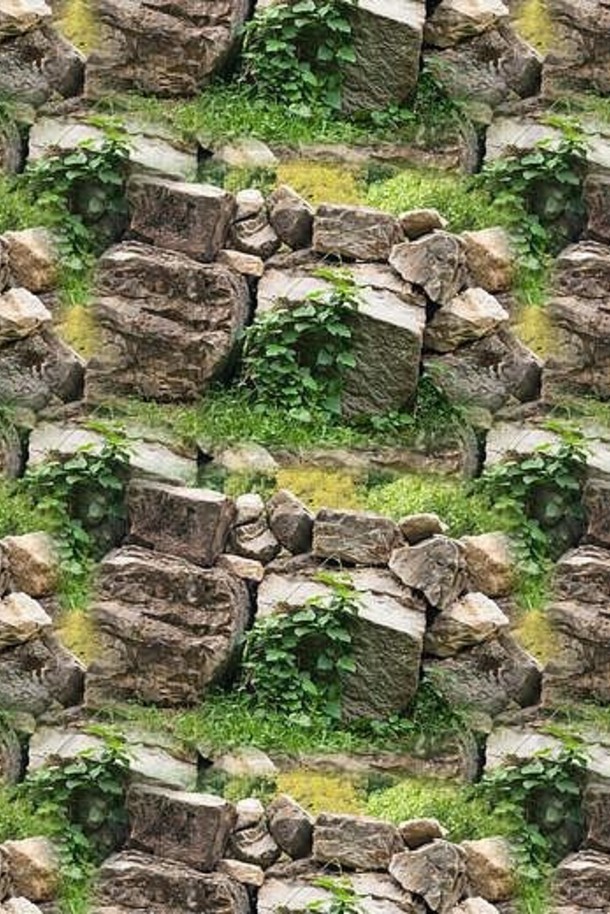 无缝的纹理照片没完没了的模式广场背景网站博客应用程序纺织品壁纸包装栅栏大自然石头布什绿色艾薇栅栏
