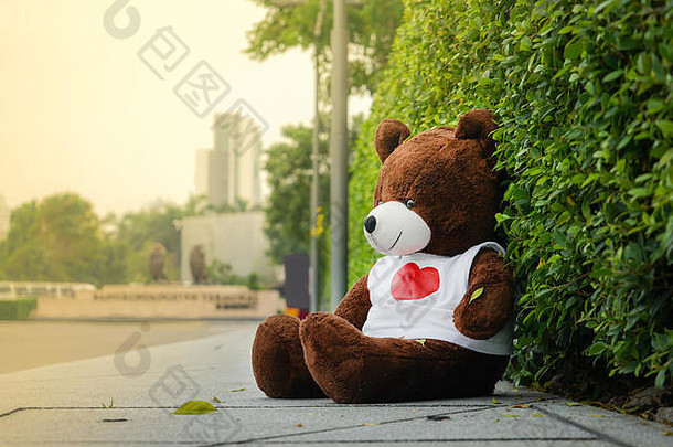 黑暗棕色（的）熊娃娃坐着小径人行道上路孤独的情绪