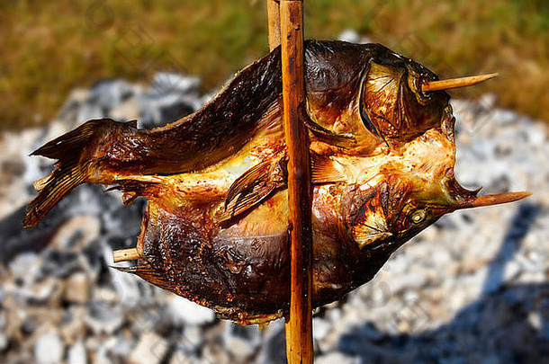 鲤鱼煮熟的传统的开放火焰考尔萨红辣椒节日匈牙利