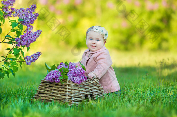 微笑婴儿女孩一年穿花花环持有花束淡紫色在户外相机夏天春天时间