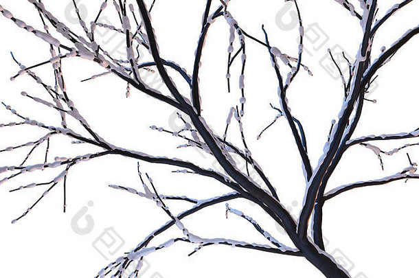 冻树分支机构覆盖雪白色背景森林冬季插图