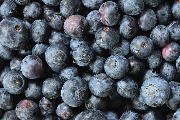 新鲜的有机蓝莓特写镜头高决议现代真实的风格概念健康食物背景餐厅疯狂杂货店