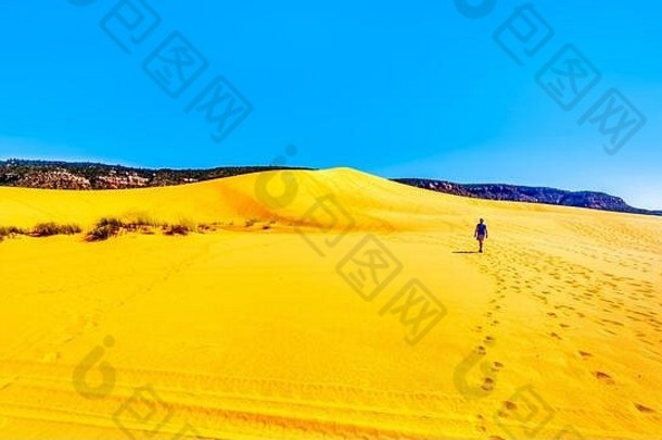 活跃的高级徒步旅行沙子沙丘珊瑚粉红色的沙子沙丘状态公园朱砂悬崖kanab县犹他州曼联州