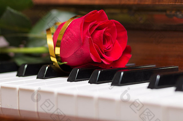 <strong>红色</strong>的玫瑰说谎计划键盘摘要音乐背景