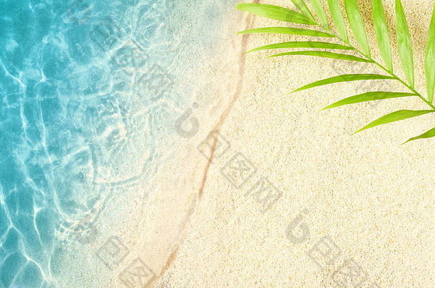 美丽的海滩白色沙子棕榈叶清晰的蓝色的海前视图