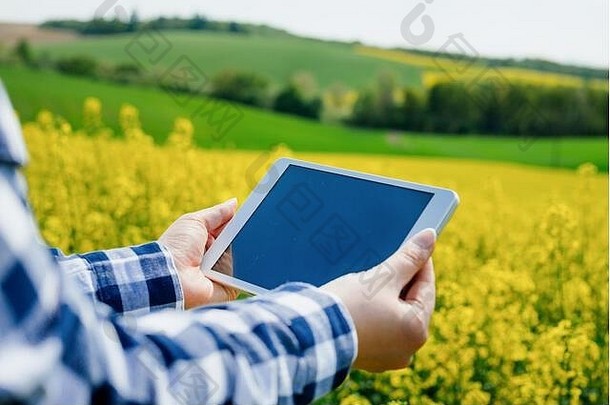 农业农民数字平板电脑检查作物