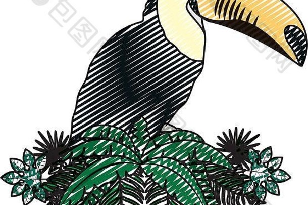 涂鸦热带鹈鹕分支机构植物叶子