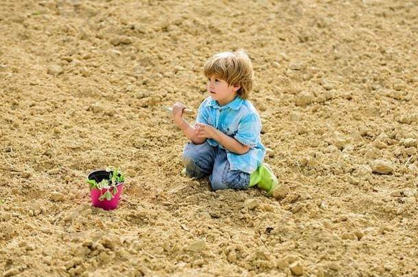 <strong>孩子</strong>有趣的铲植物能种植幼苗种植场助手花园男孩种植花场挖掘地面工作农场妈妈。自然概念