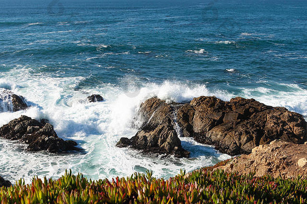 <strong>岩</strong>石加州海岸蓝色的海洋对比黑暗<strong>岩</strong>石白色喷雾多色的植物